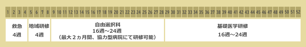 基礎研究医プログラムスケジュール②