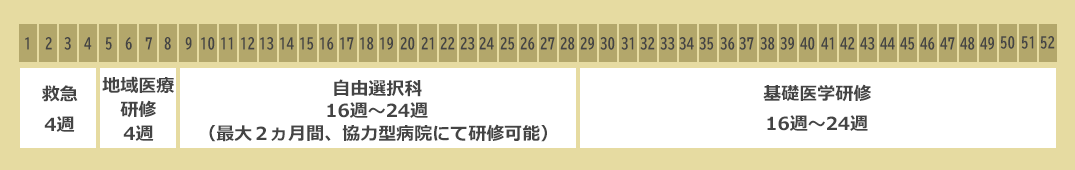 基礎研究医プログラムスケジュール②